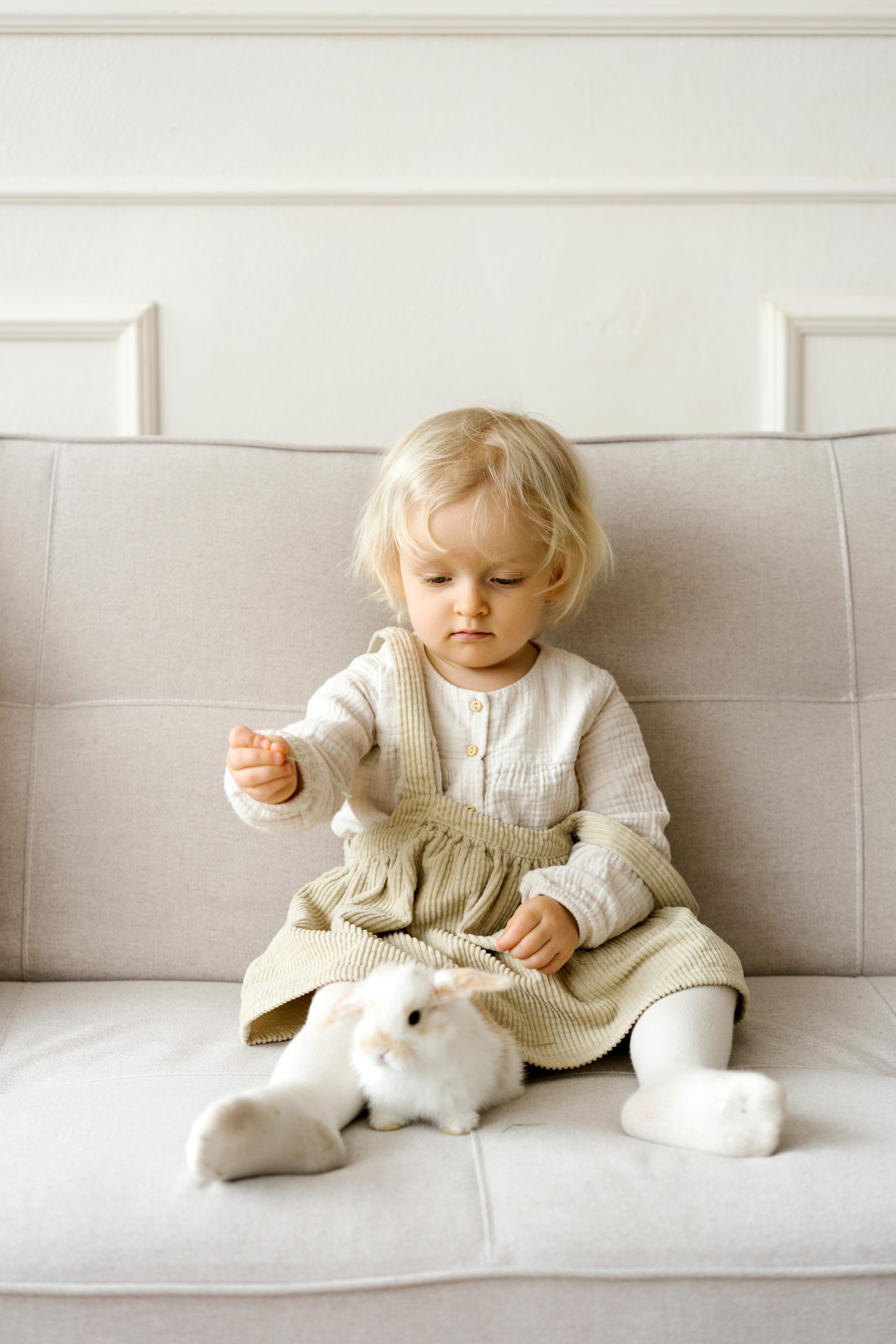 Comment Biberonner un lapin ?