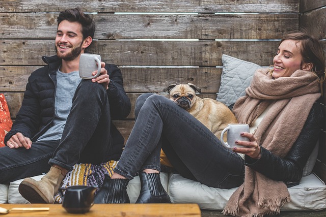 Comment dresser un chien ?