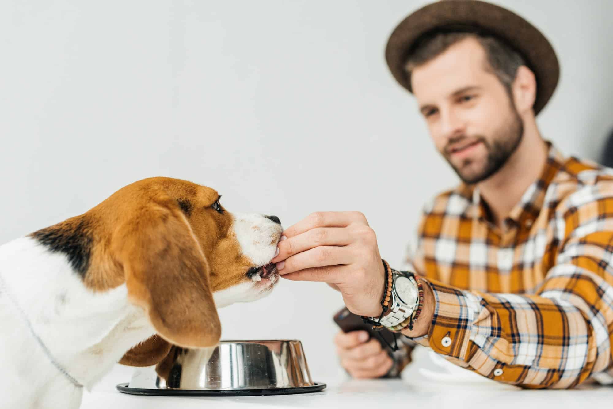 Nourriture de chien : Pourquoi opter pour des croquettes sans céréales ?